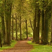 Matzenpark Allee