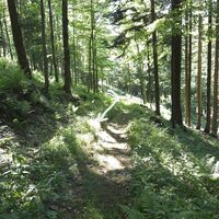 Übergang zum Frankenfelsberg