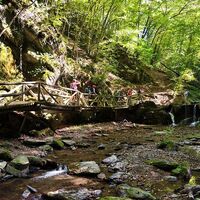 Ehrbachklamm - Seitenbrücke