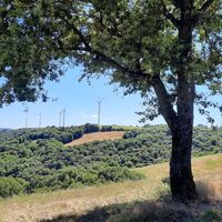 Von Windrädern zu Mühlen