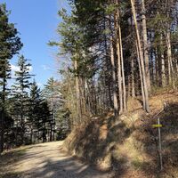 Hier rechts ist dann der Abzweiger auf den Kaisersteig.