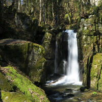 Der große Höllbachwasserfall bildet mit 8,50m die höchste Fallstufe aus.