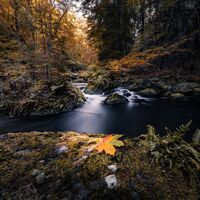 Triebtal im Herbst