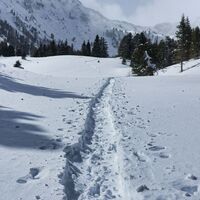 Die Almflächen kurz vor der Edelrautehütte