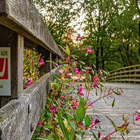 Ostebrücke bei Granstedt mit NORDPFADE-Markierungszeichen