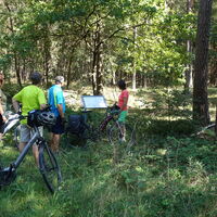 Mittelalterliche Landwehr im Wald