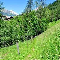 Der herrliche Duft der Wiesengräser umgibt uns, während wir weiterschreiten.
