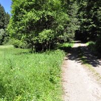 Eine schöne Wiese am Wegesrand