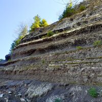 Gesteinsschichten Rockeskyller Kopf (1)