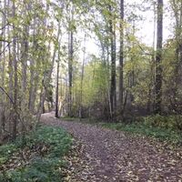 Lappeenrannan Rantaraitti