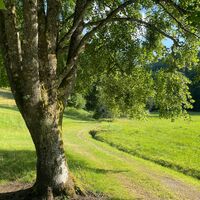 L3 Rinnerberger Trail