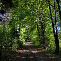 Sternenweg in Sutrieu