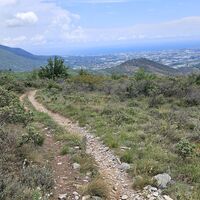 Downhill vom Forte
