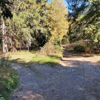33 km Links halten im NP