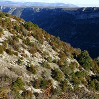 PR Navacelles 5 - CDRP