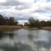 Nationalpark Donauauen