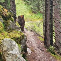 Trail