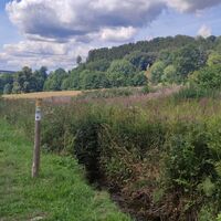 Wanderweg Lunauborn (Schö 1), Weserberglandweg (XW)
