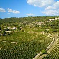 Weinberge_von_Montpeyroux_-_Eric_Brendle_2