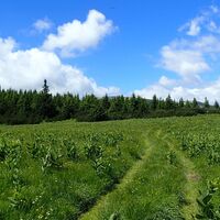 Aufstieg am Wachhüttelkamm