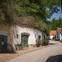 Kellergasse Stixneusiedl