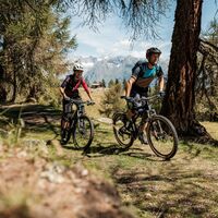 Mountainbike, Wichilwald nach Bürchen