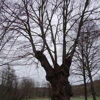 am Weg zum eh. Kloster St. Anna