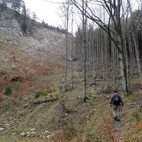 Aufstieg auf den Unterberg