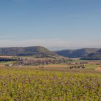Aussicht zwischen Wilchingerberg und Trasadingen