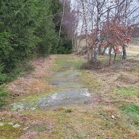 Wiesentrail entlang des Waldrandes