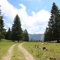 Blick ins Himmelreich