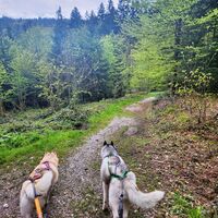 Wanderung Oberwarngau Taubenberg