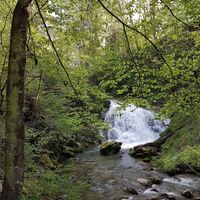 Brühlbach Wasserfall