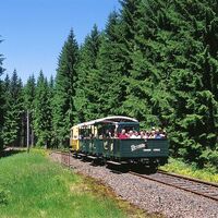 Wernesgrüner Schienen-Express inmitten der wunderschönen Natur