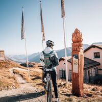 Olympia Flow Trail