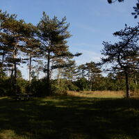 Lobau/Lobgrund - Groß Enzersdorf