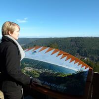 Naturpark-AugenBlick Bad Wildbad