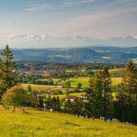 Alpensicht oberhalb von Rickenbach Altenschwand