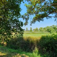 Blick Rastplatz Mühlstr. Storchenwanderweg Winden