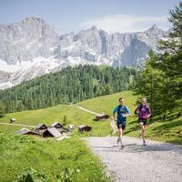 Am King Dachstein Trail unter den beeindruckenden Dachstein Südwänden