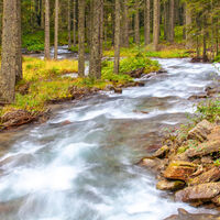 Der Lessachbach