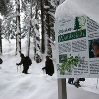 Schneeschuhwandern am Kristberg