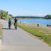 Radler auf dem Rheinradweg