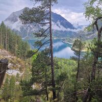 Rückblick zum Plansee