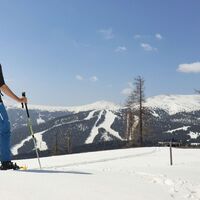 Wir genießen den Ausblick zurück - Richtung Ameringkogel und Größing