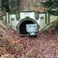 Dörper Hutewald-Runde_6078.JPG