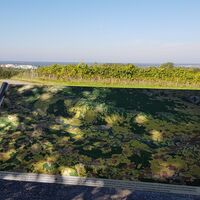 Panoramakarte