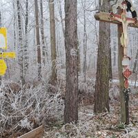 weiter am Wanderweg beim Roten Kreuz