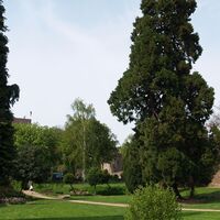 Küsters Garten mit Mammutbaum in Wassenberg