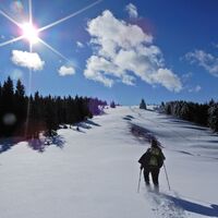 Feistritzsattel - Harterkogel